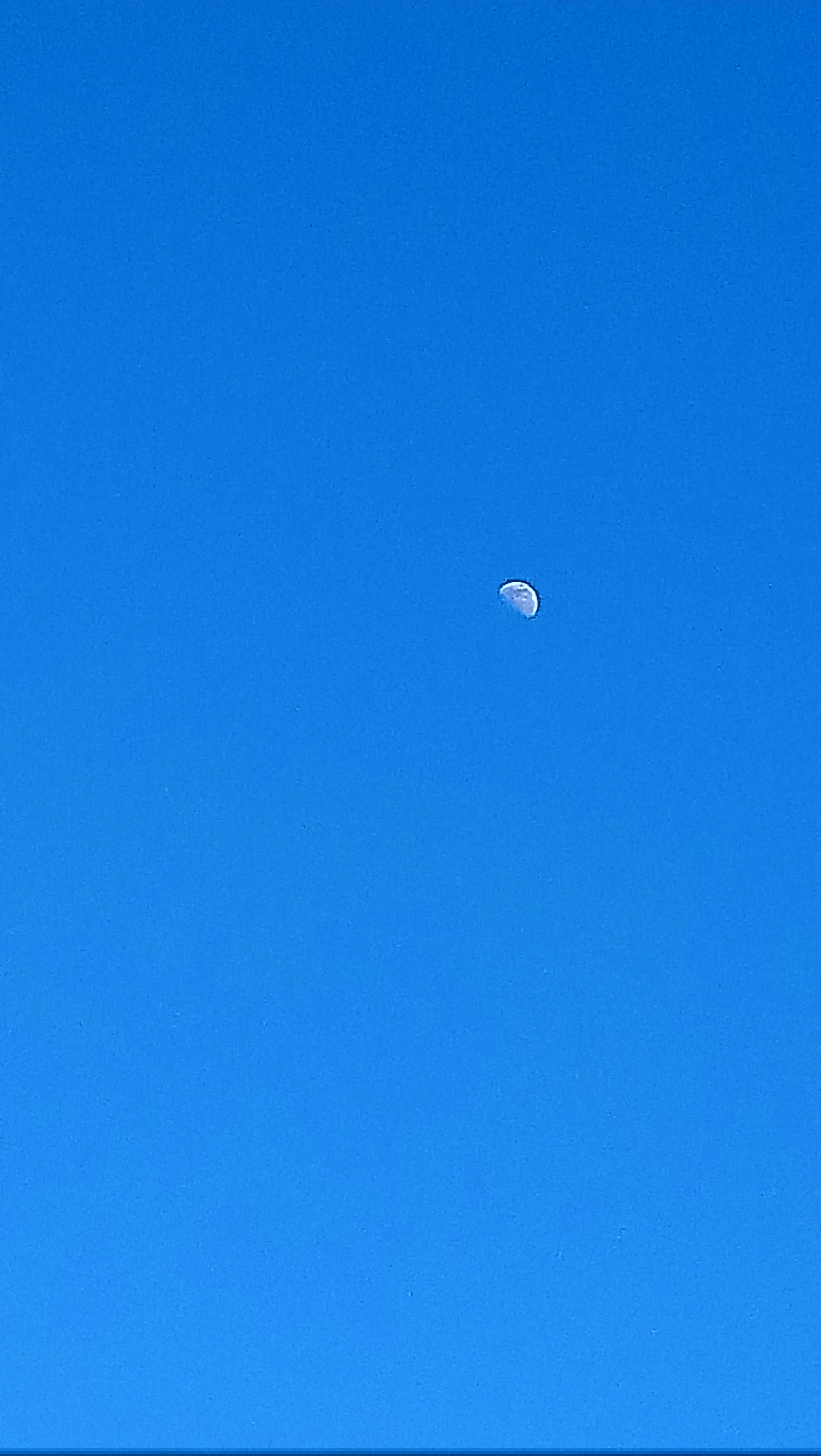 Photo n° 10 de l'avis de Martin.x fait le 13/05/2019 à 20:59