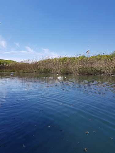 Chem. du Moulin des Frères, 1214 Vernier