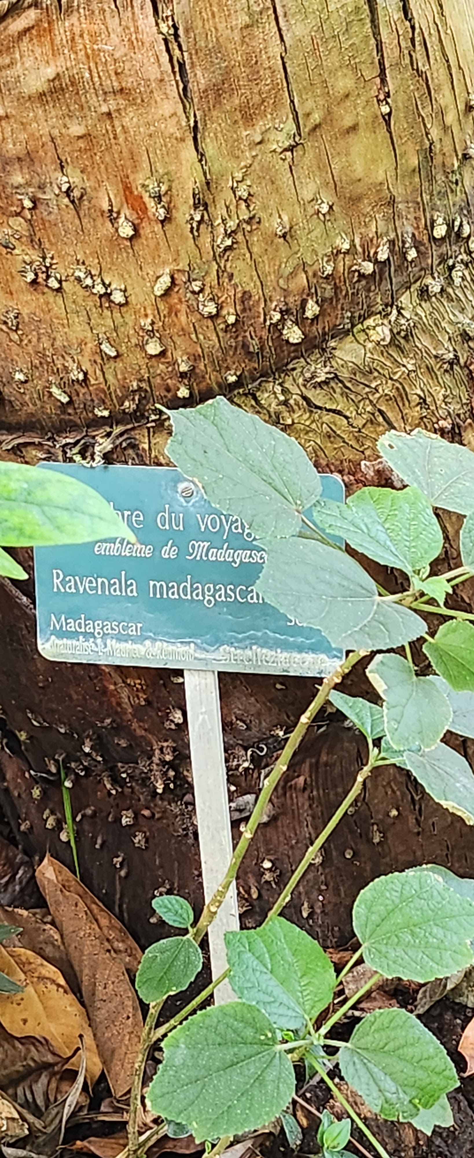 Photo n° 14 de l'avis de NADINE.G fait le 16/03/2024 à 17:37