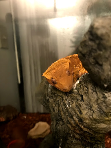 Pet Supply Store «Paws & Claws & Co», reviews and photos, 1801 E Market St, Warsaw, IN 46580, USA