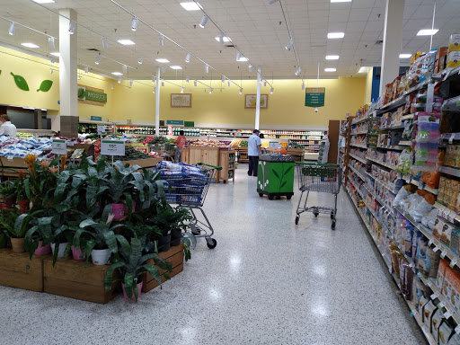 Pharmacy «Publix Pharmacy at Hallandale Place Shopping Center», reviews and photos, 1400 E Hallandale Beach Blvd, Hallandale Beach, FL 33009, USA