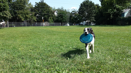 Park «Hawthorne Park», reviews and photos, 220 Division St, Madison, WI 53704, USA