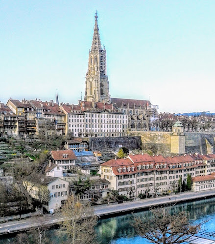 Rezensionen über Schweizer Tourismus-Verband in Bern - Verband