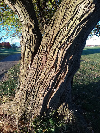 Golf Club «Golf Club of Dublin», reviews and photos, 5805 Eiterman Rd, Dublin, OH 43016, USA