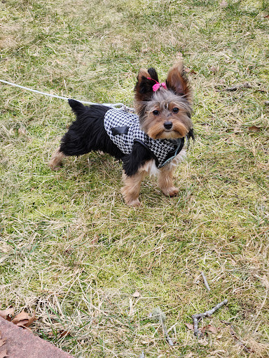 Woodland Animal Clinic image