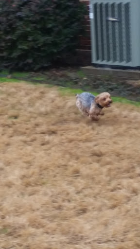 Park «Germany Park», reviews and photos, 6401 Lomo Alto Dr, Dallas, TX 75205, USA