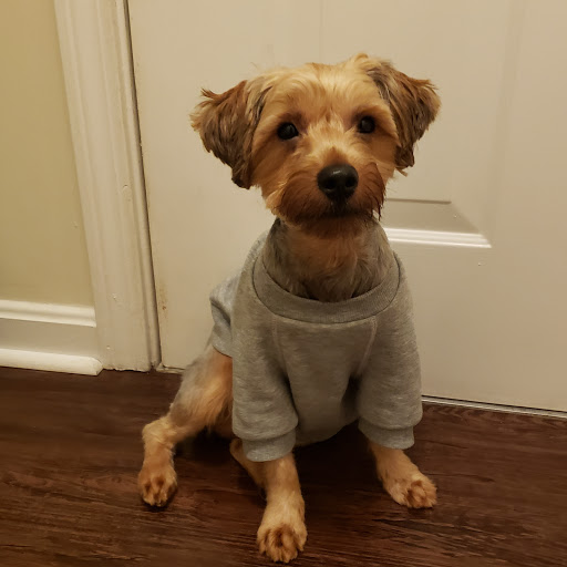 Pet Supply Store «Petco Animal Supplies», reviews and photos, 103 Commerce Way a, Woburn, MA 01801, USA