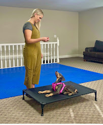 Right Hand k-9 LLC - Photo 5 - Car repair in West Haven, UT, Ogden