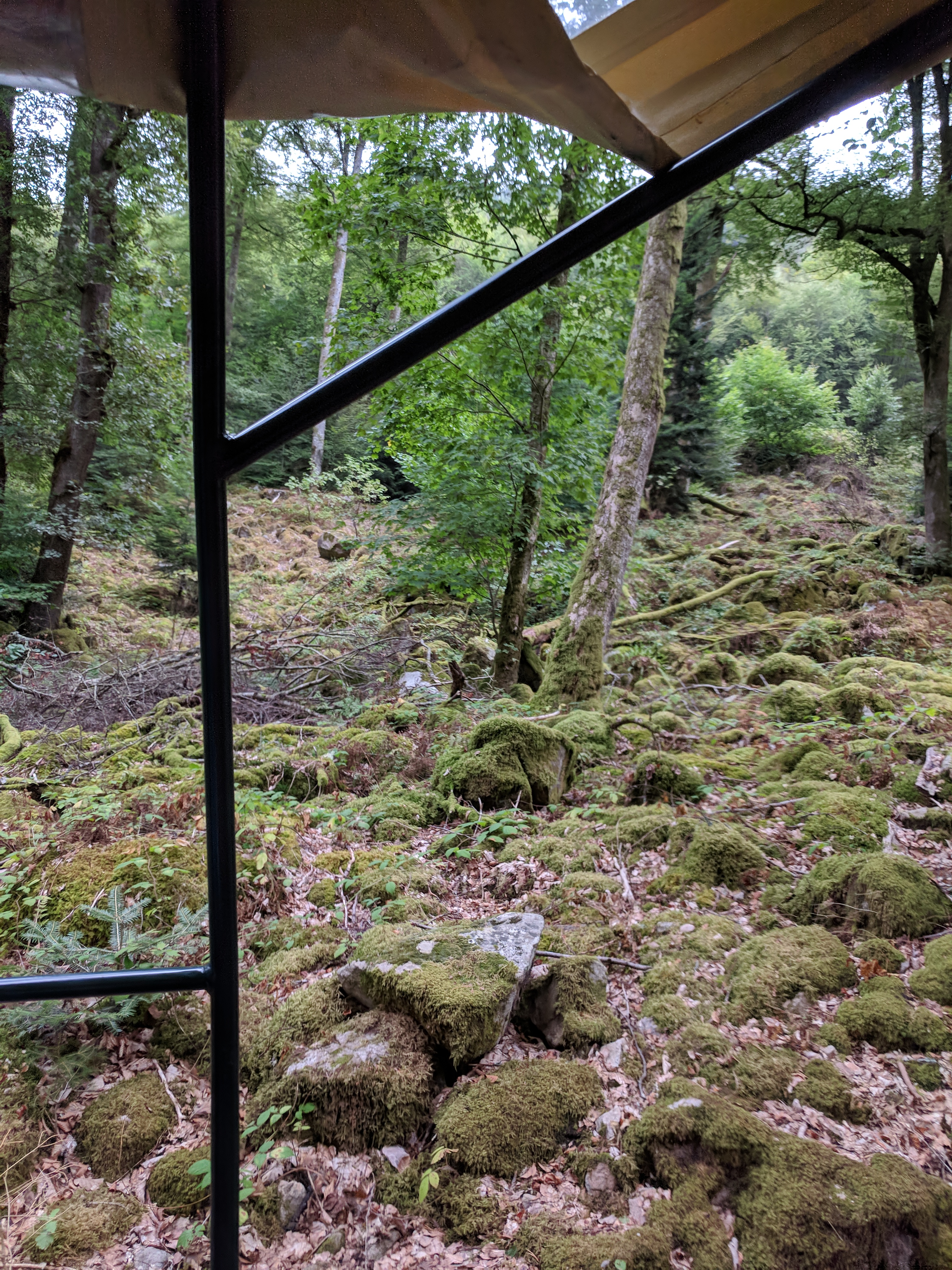 Photo n° 19 de l'avis de LAMBERT.r fait le 27/08/2018 à 11:58