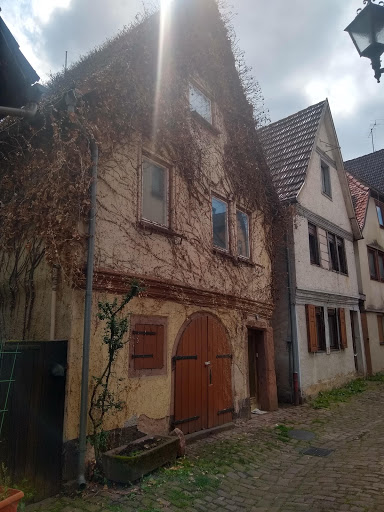 Küçük Resim 1