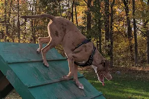 Duke's Dog Run at Freedom Park image