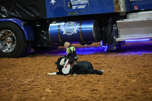 Event Venue «Southeastern Livestock Pavilion», reviews and photos, 2232 NE Jacksonville Rd, Ocala, FL 34470, USA