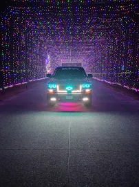 Tinted Up/Books Auto Trendz photo