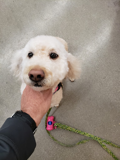 Pet Supply Store «Petco Animal Supplies», reviews and photos, 3194 FM407, Highland Village, TX 75077, USA