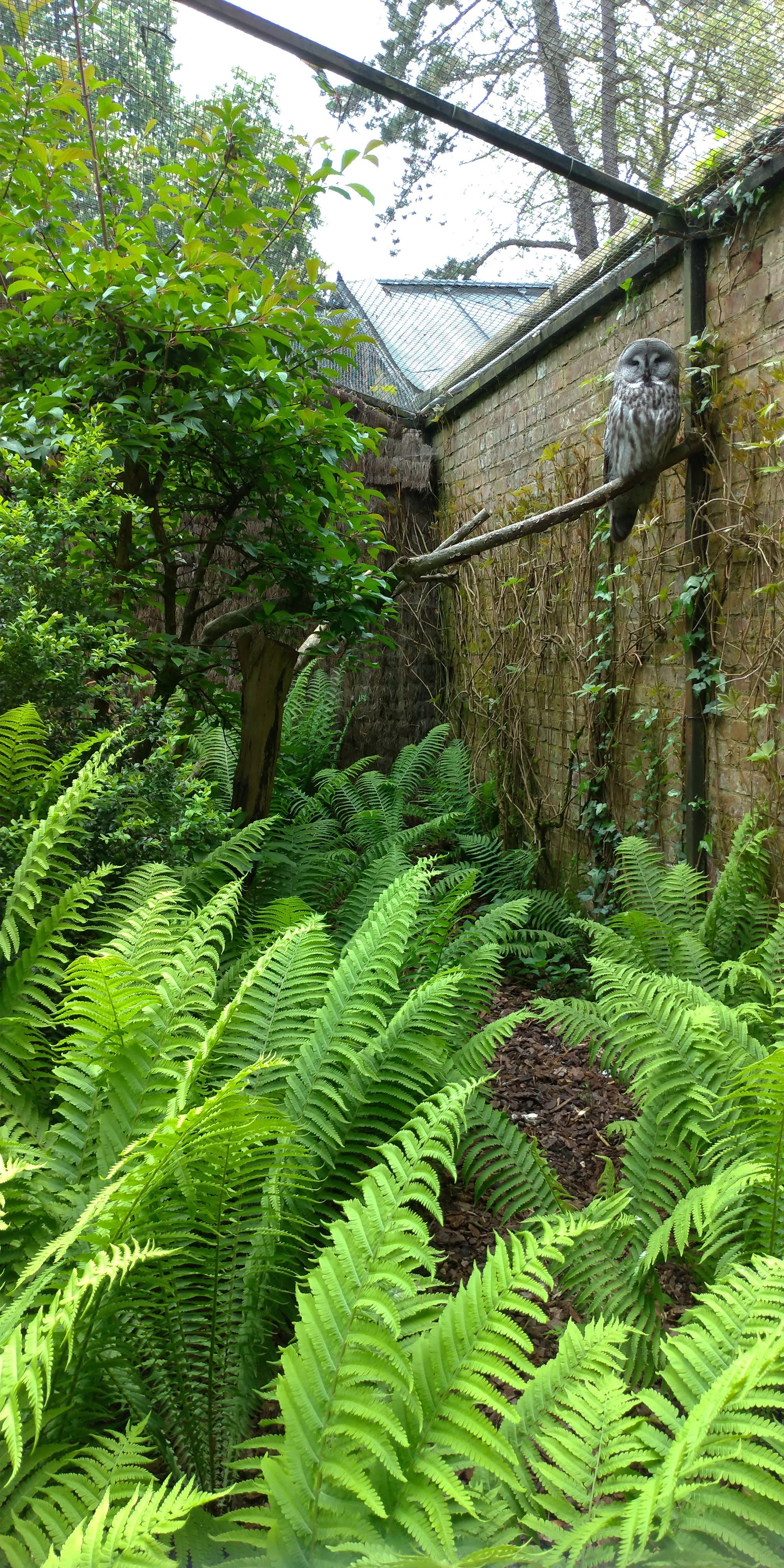 Photo n° 15 de l'avis de Maxime.E fait le 19/05/2019 à 20:15