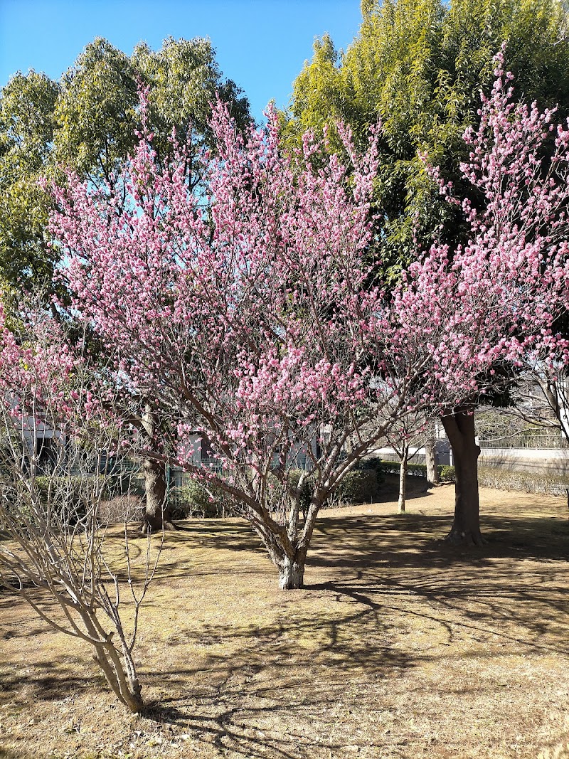 黒沢台第1公園