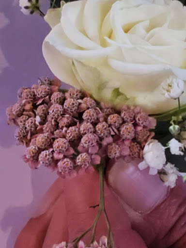 Florist «Freshwater Farms», reviews and photos, 1 Kipkam Rd, Atkinson, NH 03811, USA