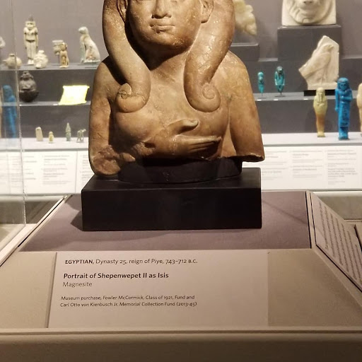 Museum «Princeton University Art Museum», reviews and photos, Elm Dr, Princeton, NJ 08544, USA