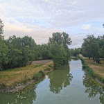 Photo n° 4 de l'avis de Destino.i fait le 19/08/2020 à 06:19 pour La Frênaie - Éco-camping, Centre de Découverte Nature et Embarcadère du Marais poitevin à La Grève-sur-Mignon