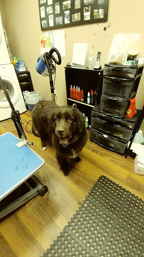 Pet Store «Pet Valu», reviews and photos, 2645 Shillington Rd, Sinking Spring, PA 19608, USA