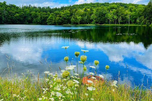 Historical Place «Marsh-Billings-Rockefeller National Historical Park», reviews and photos, 54 Elm St, Woodstock, VT 05091, USA