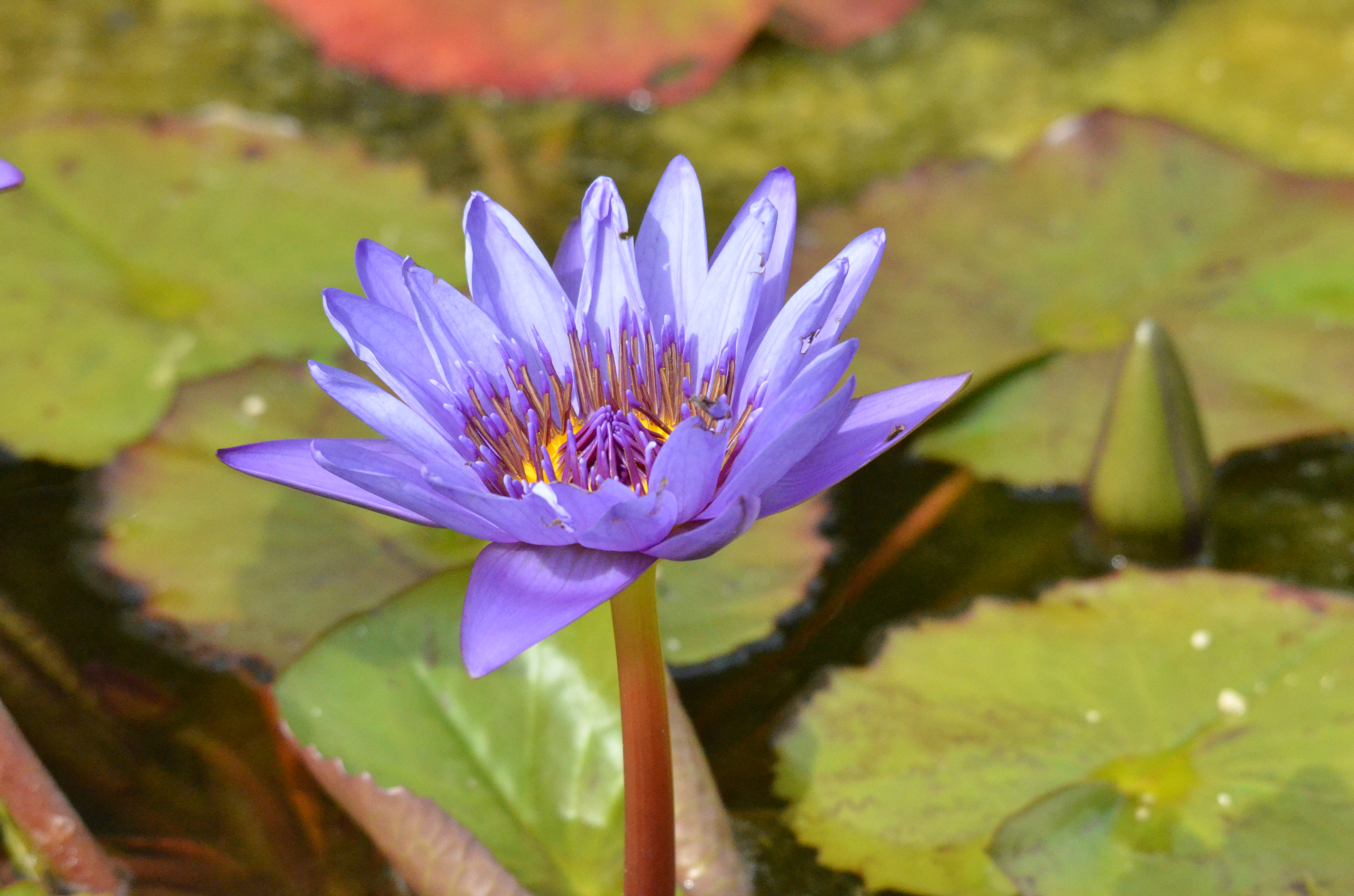 Photo n° 11 de l'avis de Nick.e fait le 27/09/2023 à 16:09