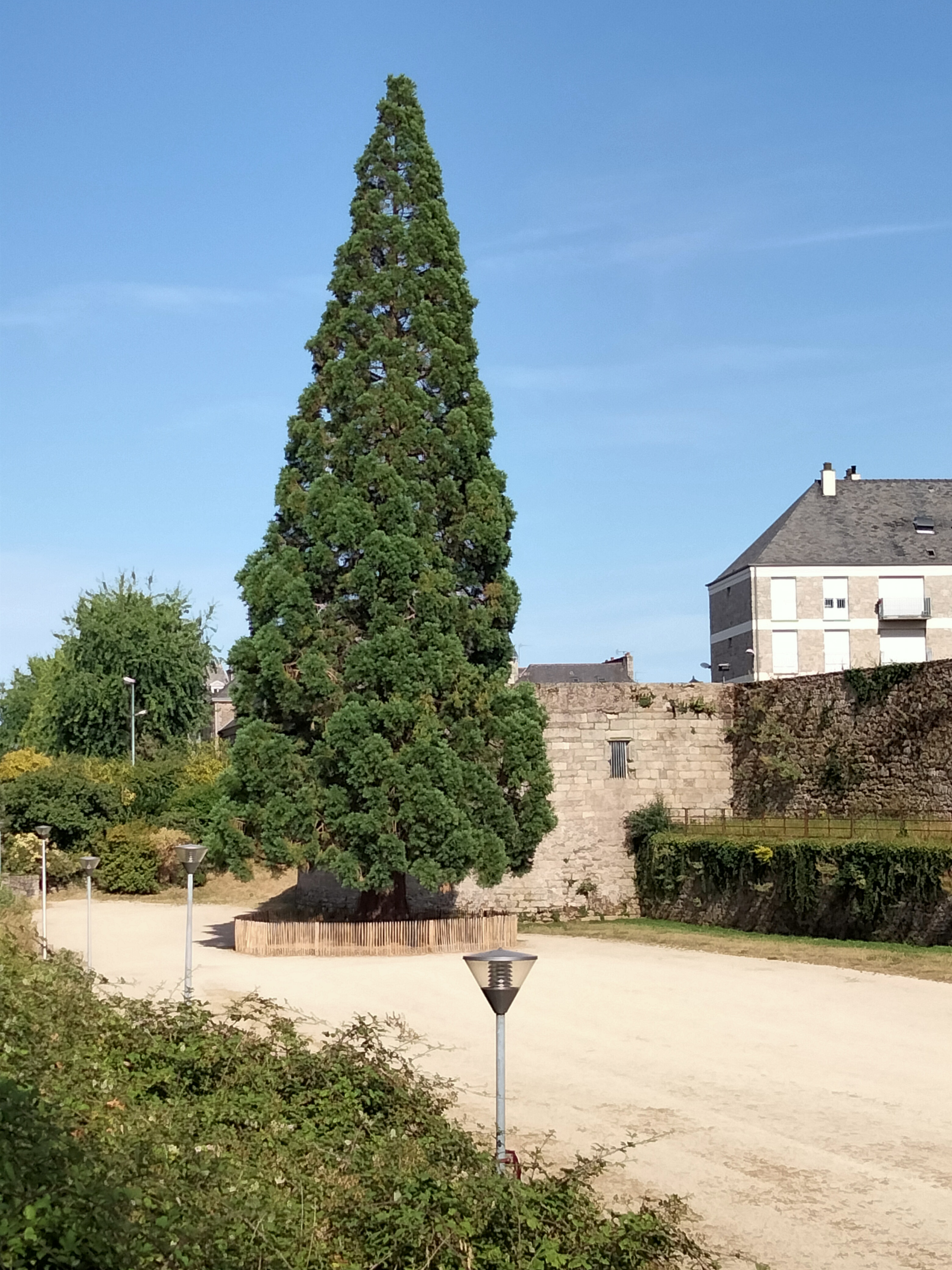 Photo n° 2 de l'avis de Didier.g fait le 20/07/2022 à 13:19