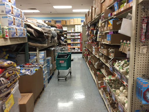 Discount Store «Ocean State Job Lot», reviews and photos, 1068 Kings Hwy, New Bedford, MA 02745, USA