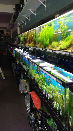 Pet Supply Store «Wet Spot Tropical Fish», reviews and photos, 4310 NE Hancock St, Portland, OR 97213, USA