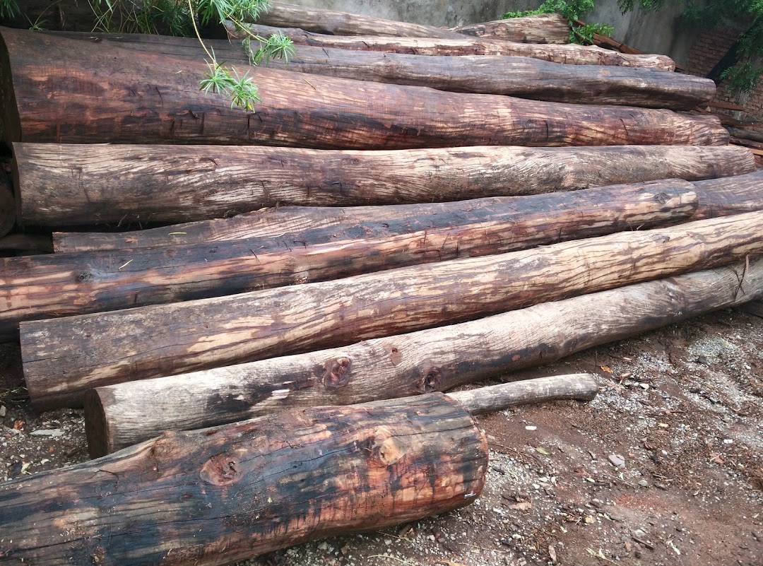 Vindhya Wood Industries