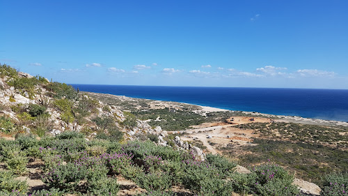Vidanta East Cape photo #1