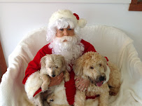 Happy Hound Dog Resorts - Photo 4 - Car repair in Jacksonville, FL, Jacksonville