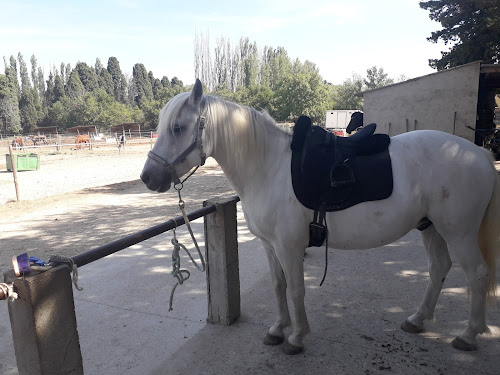 Centre équestre poney-club des Couroulus à Orgon