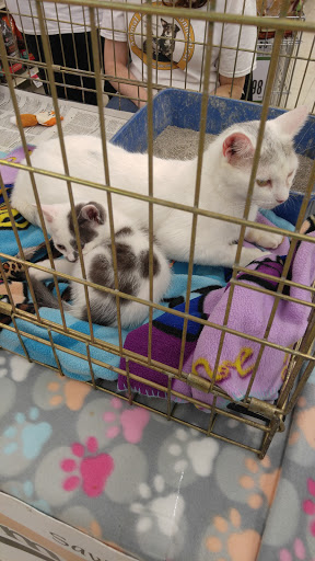 Pet Supply Store «Pet Supplies Plus», reviews and photos, 2480 Albany Ave, West Hartford, CT 06117, USA