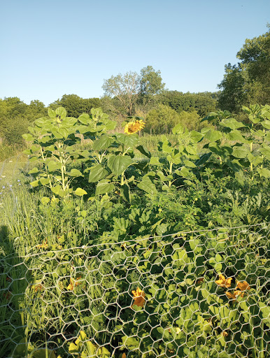 Nature Preserve «Oakhurst Forest Preserve», reviews and photos, 1680 5th Ave, Aurora, IL 60504, USA