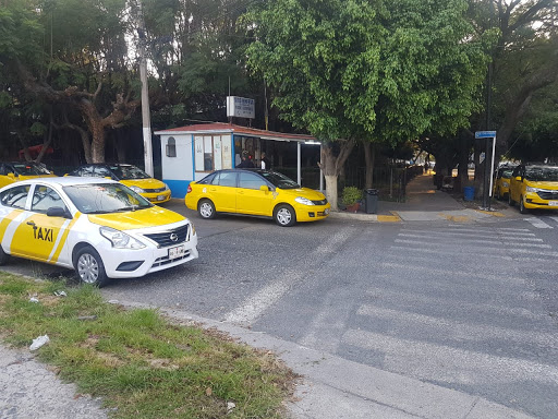 Taxi Sitio 22 Minerva