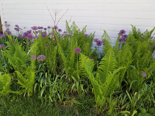 Florist «Greenfield Flower Shop», reviews and photos, 2628 W Greenfield Ave, Milwaukee, WI 53204, USA