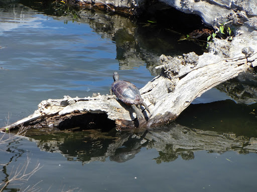 Park «Lake Union Park», reviews and photos, 860 Terry Ave N, Seattle, WA 98109, USA