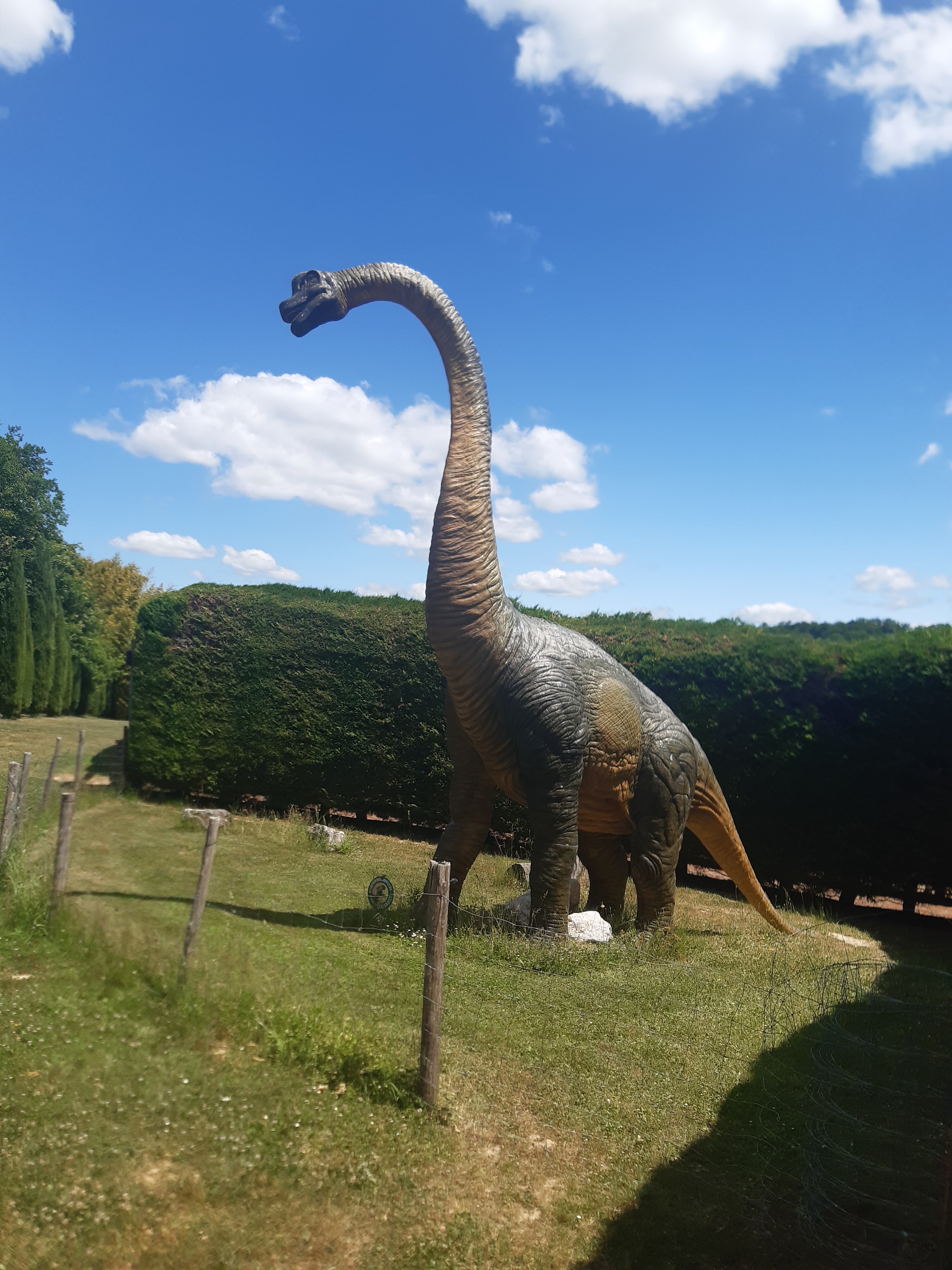 Photo n° 1 de l'avis de Wilhelm.a fait le 25/05/2022 à 14:23