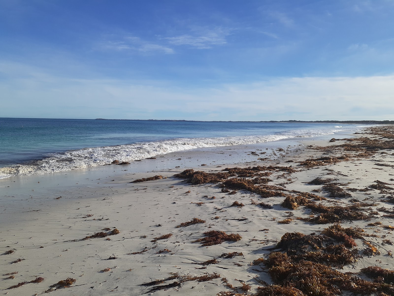 Jurien Dog Beach的照片 带有碧绿色纯水表面