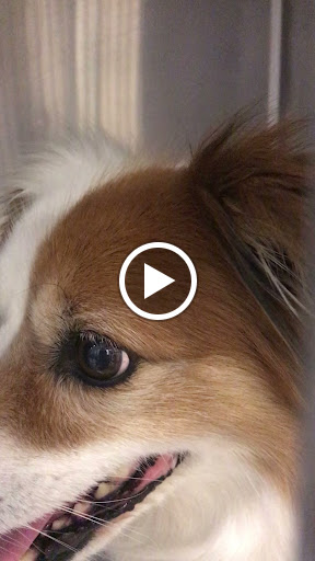 Grocery Store «North Shore Farms», reviews and photos, 770 Port Washington Blvd, Port Washington, NY 11050, USA