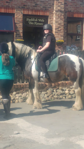 Horse riding in Manchester