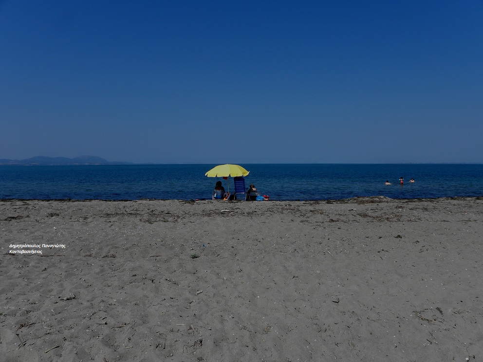 Photo of Spring beach with dirty level of cleanliness