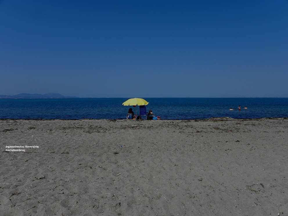 Spring beach'in fotoğrafı vahşi alan