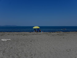 Spring beach'in fotoğrafı vahşi alan
