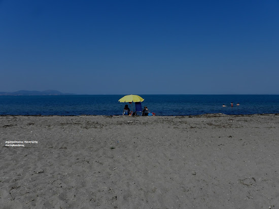 Spring beach