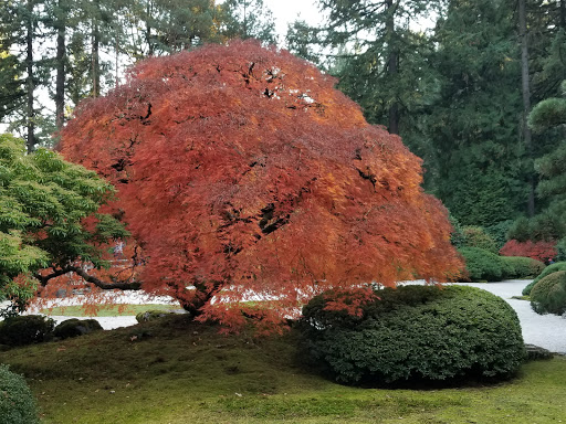 Garden «Portland Japanese Garden», reviews and photos, 611 SW Kingston Ave, Portland, OR 97205, USA