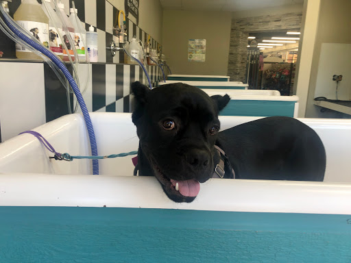 Pet Supply Store «Bark Avenue», reviews and photos, 3919 Park Dr, El Dorado Hills, CA 95762, USA
