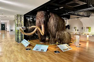 Kitahiroshima City Eco Museum Center Innovation Station image