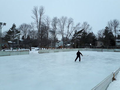 Lakeview Park Rink